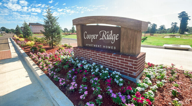 Building Photo - Cooper Ridge Apartment Homes