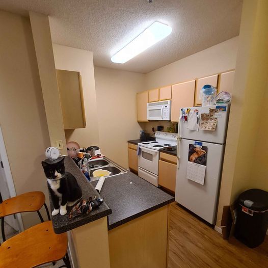 kitchen - 641 Huron Blvd SE