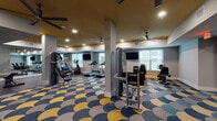Located at 3640 Mapleshade Ln in Plano, Texas, this fitness center is a thoughtfully designed, single-floor facility offering a comprehensive workout environment. The space immediately stands out with its bold, eye-catching carpet featuring a scalloped pattern in shades of navy blue, gold, and gray, adding a vibrant and energetic character to the room.

The main workout area is generously sized, accommodating a wide range of cardio and strength training equipment. Treadmills, ellipticals, rowing machines, and stationary bikes are arranged to provide ample space for comfortable use, while cable machines, a weight bench, and a dumbbell rack cater to strength training needs. Wall-mounted flat-screen TVs are positioned throughout the room, allowing members to stay entertained during workouts.

Large mirrors line portions of the walls, visually expanding the space and allowing users to monitor their form. Multiple ceiling fans suspended from the richly painted gold ceiling provide air circulation and add a stylish architectural accent. Recessed lighting ensures the space is well-lit throughout.

Natural light filters in through several windows fitted with blinds, contributing to an open and inviting atmosphere. A dedicated stretching and free-weight area with wood-look flooring offers a distinct zone separate from the main cardio floor. The facility is accessed through a glass-panel door, completing this well-appointed and functional fitness center.