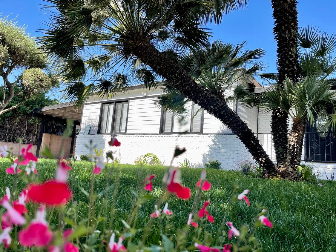 6429 Rhodes Ave, North Hollywood, CA 91606 House Rental in North