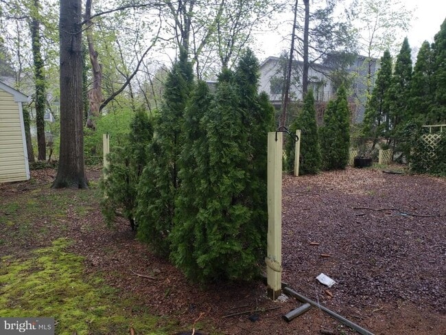 Building Photo - 118 Spruce Cir
