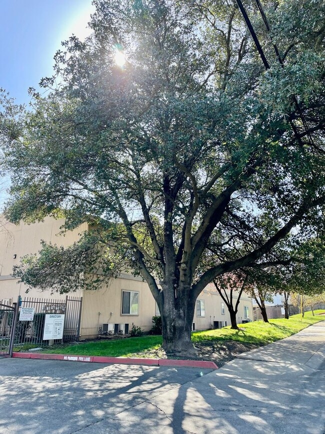 Building Photo - Carmichael apartment centrally located.