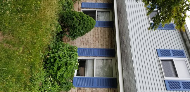 Building Photo - 56 Braithwaite Ln