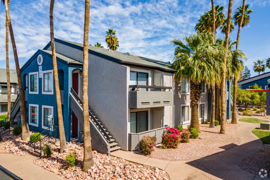 Palms at South Mountain