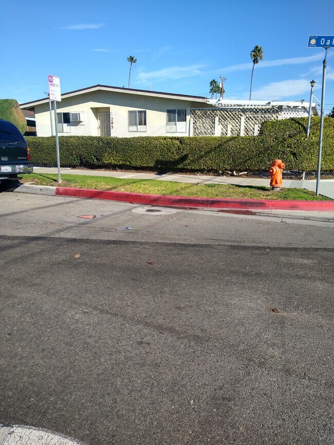 safety - fire hydrant right in front - 295 S Oak St