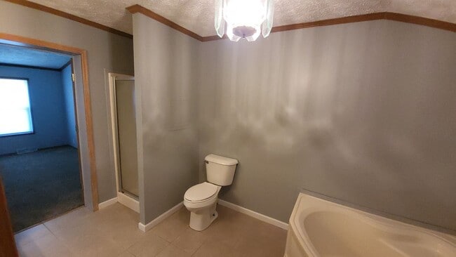 Building Photo - Bright & Spacious 3-BR Retreat on Huge Lot...
