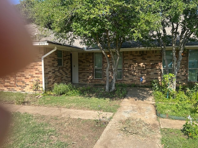 Building Photo - 403 Frankie Ln