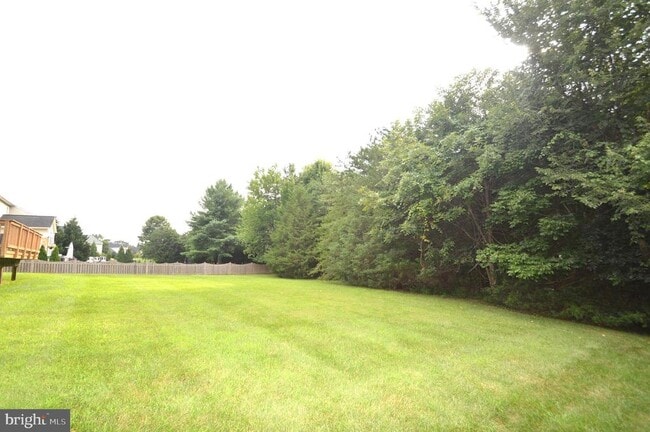 Building Photo - 25461 Lemon Tree Pl
