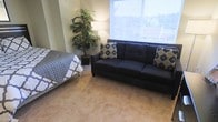 This single-floor space offers a welcoming and functional layout designed for comfortable everyday living. The main living area is anchored by plush, neutral-toned carpeting that adds warmth underfoot and contributes to the room's cozy ambiance. A large window floods the space with abundant natural light, providing a bright and airy atmosphere while offering views of the surrounding outdoor greenery.

The seating area is furnished with a spacious dark navy sofa accented with patterned throw pillows in complementary blue, green, and cream tones, creating an inviting focal point for relaxation. Adjacent to the sofa, a tall decorative floor lamp provides additional ambient lighting, while a lush tropical potted plant in the corner introduces a vibrant natural element that softens the room and adds visual interest.

The space also accommodates a sleeping area, with a neatly made bed dressed in a grey patterned coverlet visible nearby, suggesting a versatile, open-plan arrangement that serves both lounging and resting functions. The light sage-green walls contribute to a calm, neutral palette throughout.

Overall, the space presents a clean, well-lit, and thoughtfully arranged environment that balances practicality with comfort, making it an ideal setting for both relaxation and day-to-day living.