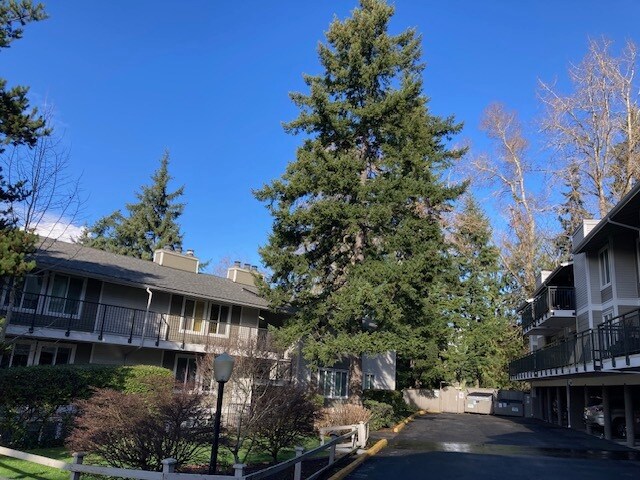 Foto del edificio - 3224 80th Ave SE