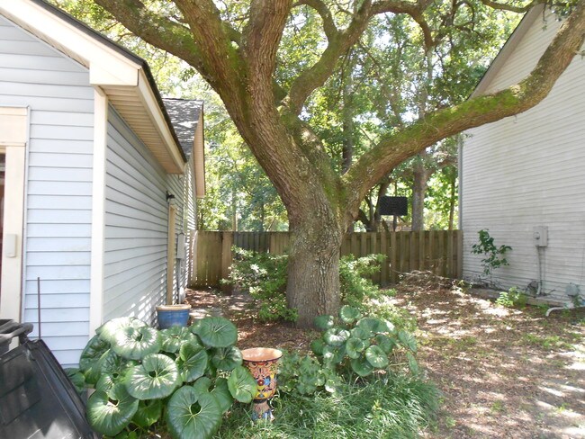 Casa de 3 habitaciones y 2 baños en alquiler en Quail Hollow, Mt Pleasant. Muchas mejoras. A 3 millas de IOP. - 2084 Presidio Dr