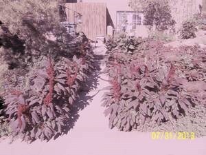 FRONT ENTRANCE - 88 Rio Vista Pl