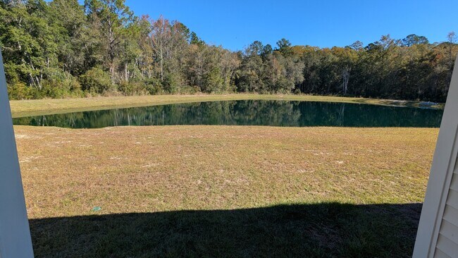 Building Photo - 473 Coconut Dr