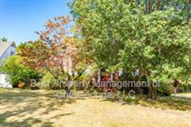 Foto del edificio - 317 Belvoir Ave