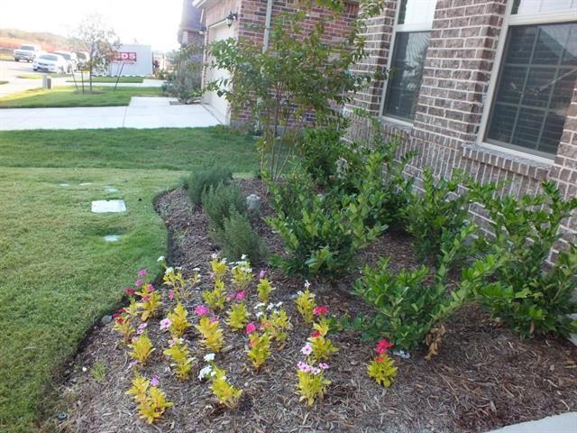 Foto del edificio - 620 Calliopsis St