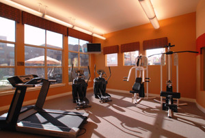 Gym Room - 9059 E Panorama Cir