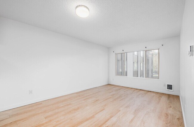 Foto del interior - York Park