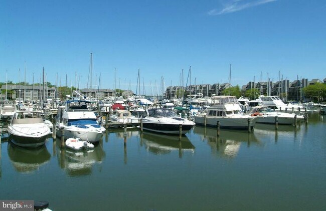 Foto del edificio - 7036 Harbour Village Ct