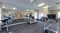 This fitness center is a comprehensively outfitted single-floor facility designed to support a wide range of workout routines. The space is divided into distinct functional zones, seamlessly connected by a bold, patterned carpet that runs throughout. The cardio area is well-stocked with multiple treadmills, an elliptical trainer, and a stationary bike, providing ample options for aerobic exercise. Large floor-to-ceiling mirrors line one wall, visually expanding the space and allowing users to monitor their form during workouts. Overhead, flush-mounted oval light fixtures provide consistent, bright illumination throughout the room.

The strength training area features a multi-station cable machine, a rowing machine, and a dedicated free weights section with a tiered dumbbell rack and stability balls. A wall-mounted flat-screen television is positioned for easy viewing during workouts. Natural light filters in through several windows, including a charming circular porthole-style window, offering views of the surrounding greenery. The walls are painted in a combination of neutral grey and warm amber tones, giving the space an energetic yet welcoming atmosphere. A separate adjoining room is accessible via a doorway, and an emergency exit provides additional access points to the facility.