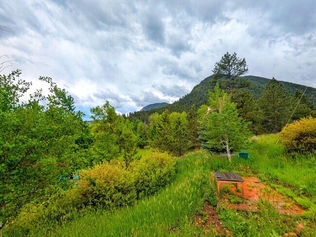Foto del edificio - Fully Remodled Cabin in Palmer Lake with A...