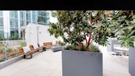 This thoughtfully designed outdoor terrace offers a dynamic blend of greenery, leisure, and social amenities set against a contemporary urban backdrop. Large-format light stone pavers define the open floor plan, creating a clean and modern aesthetic throughout the space.

Oversized charcoal-toned rectangular planters serve as both design anchors and natural dividers across the terrace. These planters house mature trees with distinctive red-branched canopies and broad leaves, providing welcome shade and a sense of lush seclusion. Ground-level plantings of ornamental grasses and low shrubs add textural variety at the base of each planter.

Multiple seating zones are distributed across the terrace. One area features warm wood-slatted benches with metal frames, accented with white throw pillows and arranged around a low fire table — ideal for relaxed conversation. Another zone offers bistro-style round white tables and folding chairs, nestled among the planters for a more intimate dining or café-like experience.

A dedicated recreation area includes an outdoor ping-pong table and an oversized mounted outdoor screen, perfect for entertainment. The surrounding urban skyline and glass-clad towers are visible from the terrace, reinforcing the space's city-connected character. Together, these elements create a vibrant, multi-use outdoor environment suited for both leisure and socializing.