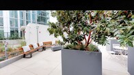 This thoughtfully designed outdoor terrace offers a dynamic blend of greenery, leisure, and social amenities set against a contemporary urban backdrop. Large-format light stone pavers define the open floor plan, creating a clean and modern aesthetic throughout the space.

Oversized charcoal-toned rectangular planters serve as both design anchors and natural dividers across the terrace. These planters house mature trees with distinctive red-branched canopies and broad leaves, providing welcome shade and a sense of lush seclusion. Ground-level plantings of ornamental grasses and low shrubs add textural variety at the base of each planter.

Multiple seating zones are distributed across the terrace. One area features warm wood-slatted benches with metal frames, accented with white throw pillows and arranged around a low fire table — ideal for relaxed conversation. Another zone offers bistro-style round white tables and folding chairs, nestled among the planters for a more intimate dining or café-like experience.

A dedicated recreation area includes an outdoor ping-pong table and an oversized mounted outdoor screen, perfect for entertainment. The surrounding urban skyline and glass-clad towers are visible from the terrace, reinforcing the space's city-connected character. Together, these elements create a vibrant, multi-use outdoor environment suited for both leisure and socializing.