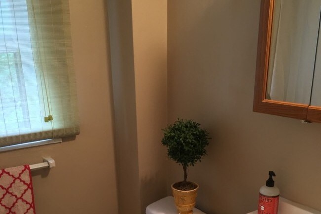 Baño - 715 Triphammer Rd