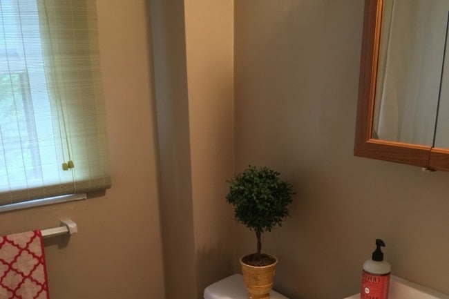 Bathroom - 715 Triphammer Rd