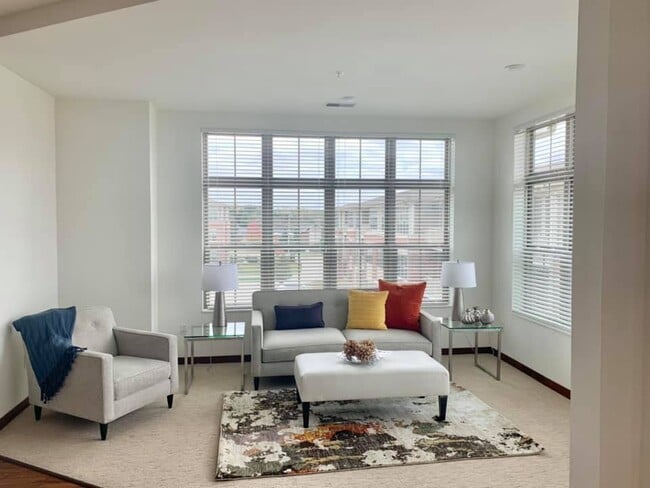 D1 LR - Lilly Preserve