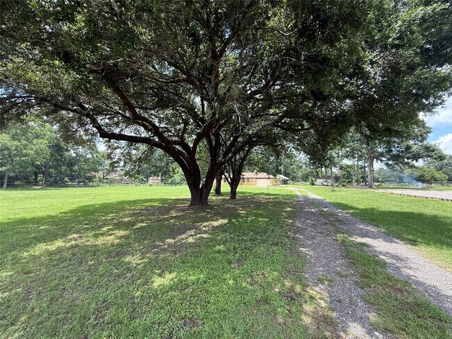 Building Photo - 18751 FM 1484 Rd