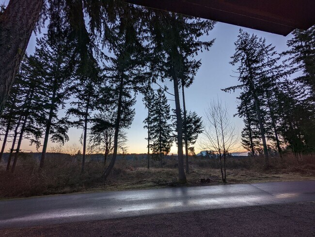 Foto del edificio - Cozy Cabin