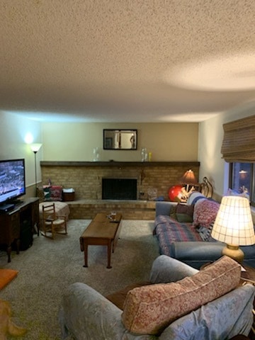 Family Room with Fireplace - 1417 Antero Dr