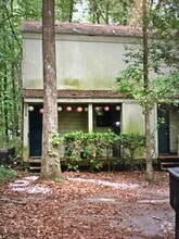 Building Photo - 1336 Rumba Ln