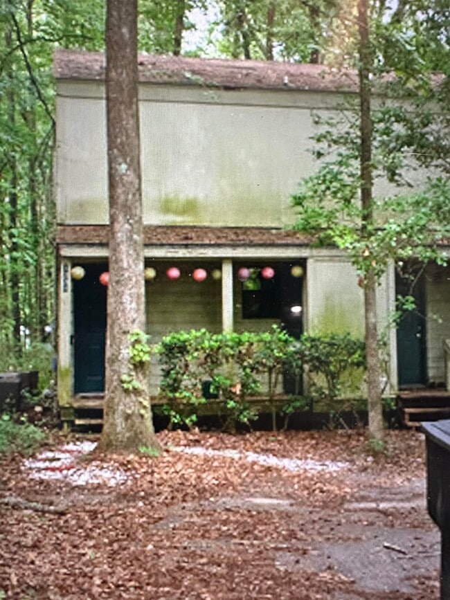 Building Photo - 1311 Rumba Ln