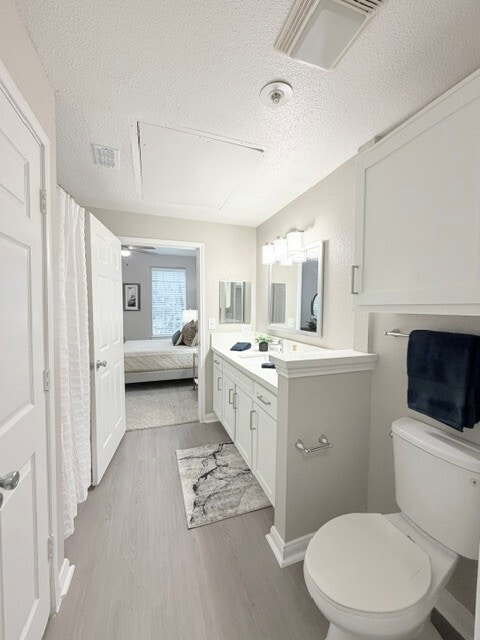 Building Photo - Terra at Piney Point
