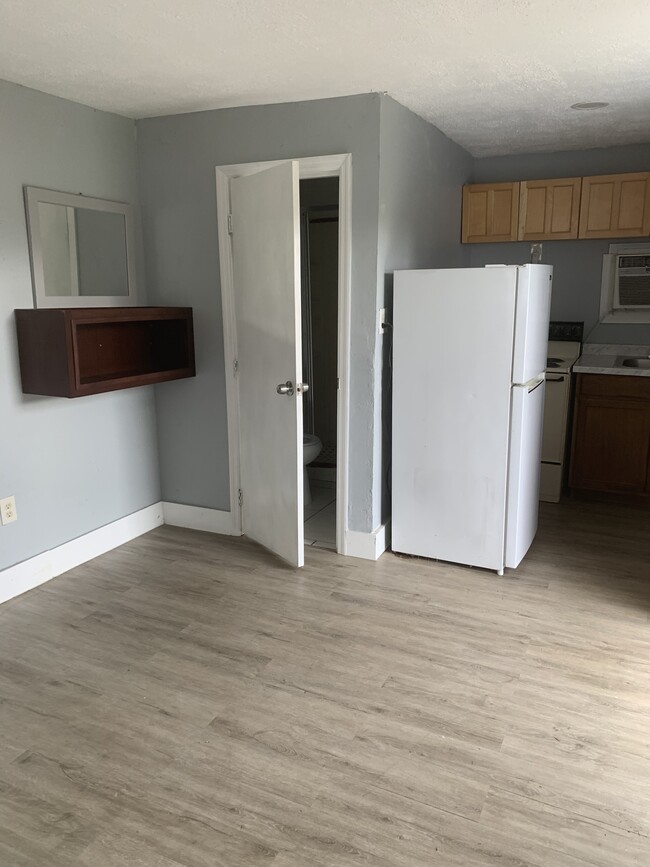 Living/Bedroom - 303 E Polk Ave