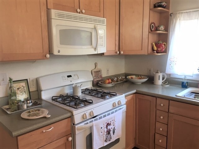 cocina del nivel inferior - 205 Virginia Ave