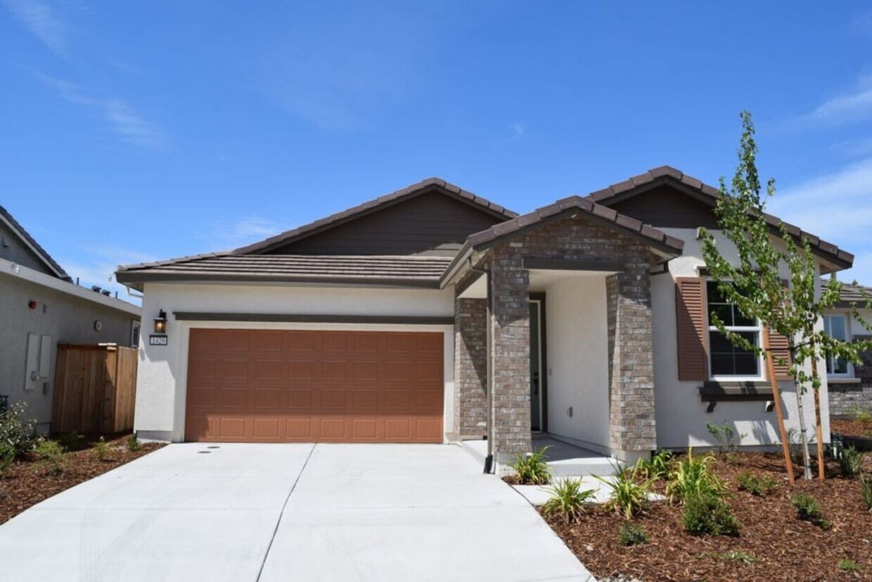 Foto principal - 1429 Cheetah St