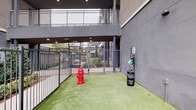 This outdoor dog park is a thoughtfully designed pet amenity situated within a modern residential complex. The space is fully enclosed by sturdy dark metal fencing with a latching gate entry, ensuring a safe and secure environment for dogs to roam freely. The ground is covered in lush artificial turf, providing a clean and comfortable surface year-round. A bold red decorative fire hydrant serves as a playful focal point within the park, adding a touch of character to the space. For the comfort of owners, a classic wooden-slatted bench is positioned along the perimeter wall, offering a convenient spot to relax while supervising pets. The park is well-equipped with waste management amenities, including a bag dispenser and trash receptacle mounted to the wall, alongside clearly posted Dog Park Policies and pet waste signage to promote responsible use. The surrounding architecture features smooth grey concrete walls and multi-level balconies overhead, creating a semi-sheltered feel. Recessed overhead lighting ensures usability during low-light conditions. Views beyond the fencing reveal surrounding greenery, landscaped hedges, and the broader urban streetscape, contributing to an open and airy atmosphere within the park.