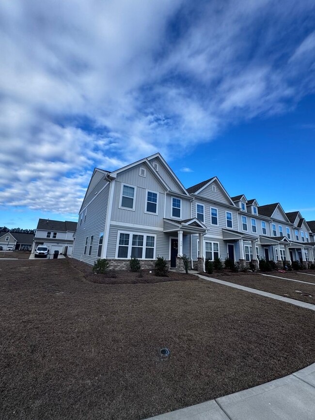 Building Photo - Nexton Townhouse