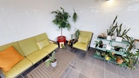 This single-floor space presents a well-appointed lounge area designed with comfort and greenery at its core. The seating arrangement centers around a modern sofa and matching armchair, both fitted with chartreuse green cushions and accented with striped throw pillows, offering a cohesive and welcoming aesthetic. A slatted wooden coffee table anchors the seating area, adding a natural texture contrast to the smooth large-format grey tile flooring beneath.

The space is distinguished by its impressive collection of indoor plants, which significantly contribute to its vibrant character. A tall ficus tree planted in a bold red pot serves as a striking focal point, while a slender dracaena adds vertical interest beside it. A multi-tiered green plant stand along one wall hosts a curated arrangement of smaller potted plants and succulents, further enhancing the lush, garden-like ambiance. Additional potted plants are scattered throughout, reinforcing the nature-inspired theme.

The walls are finished in clean white tile, lending a bright and polished backdrop that amplifies the natural light within the space. The overall atmosphere is calm, refreshing, and thoughtfully styled, making it an ideal setting for relaxation or casual conversation.