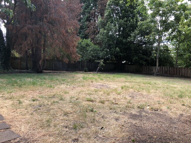 Building Photo - 3 bedroom 1 bathroom house in Springfield!