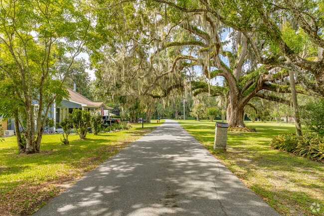 Spanish moss-covered trees add a southern charm feel to the Brooksville neighborhood streets.