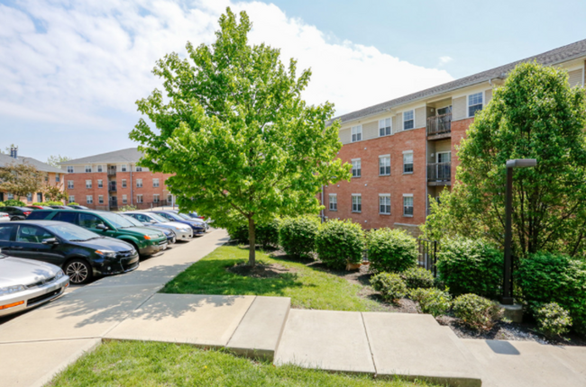 Interior Photo - Prime at Wright Apartments and Townhomes