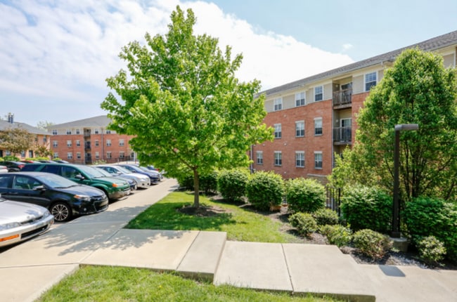 Interior Photo - Prime at Wright Apartments & Townhomes