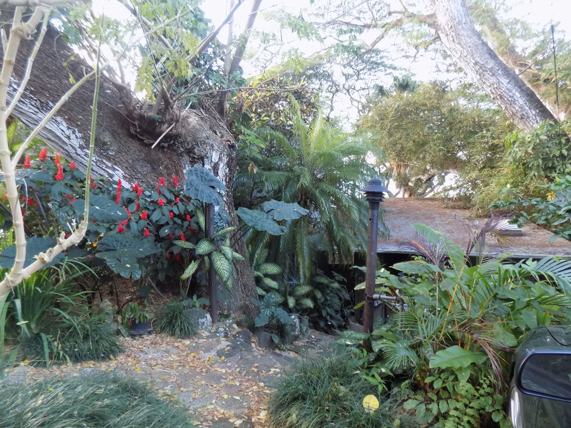 47375 Lulani St, Kaneohe, HI 96744 Apartments in Kaneohe, HI