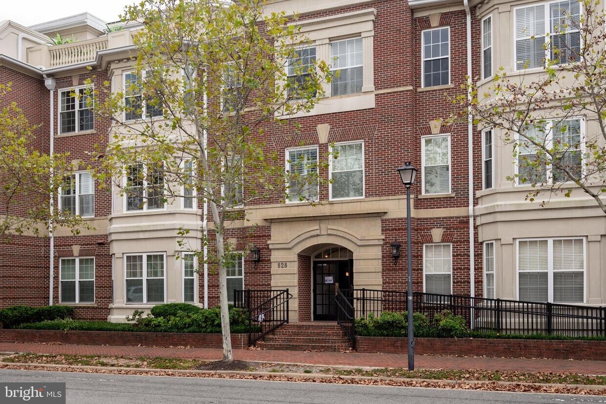 828 Slaters Ln Unit 203, Alexandria, VA 22314 Room for Rent in Alexandria, VA