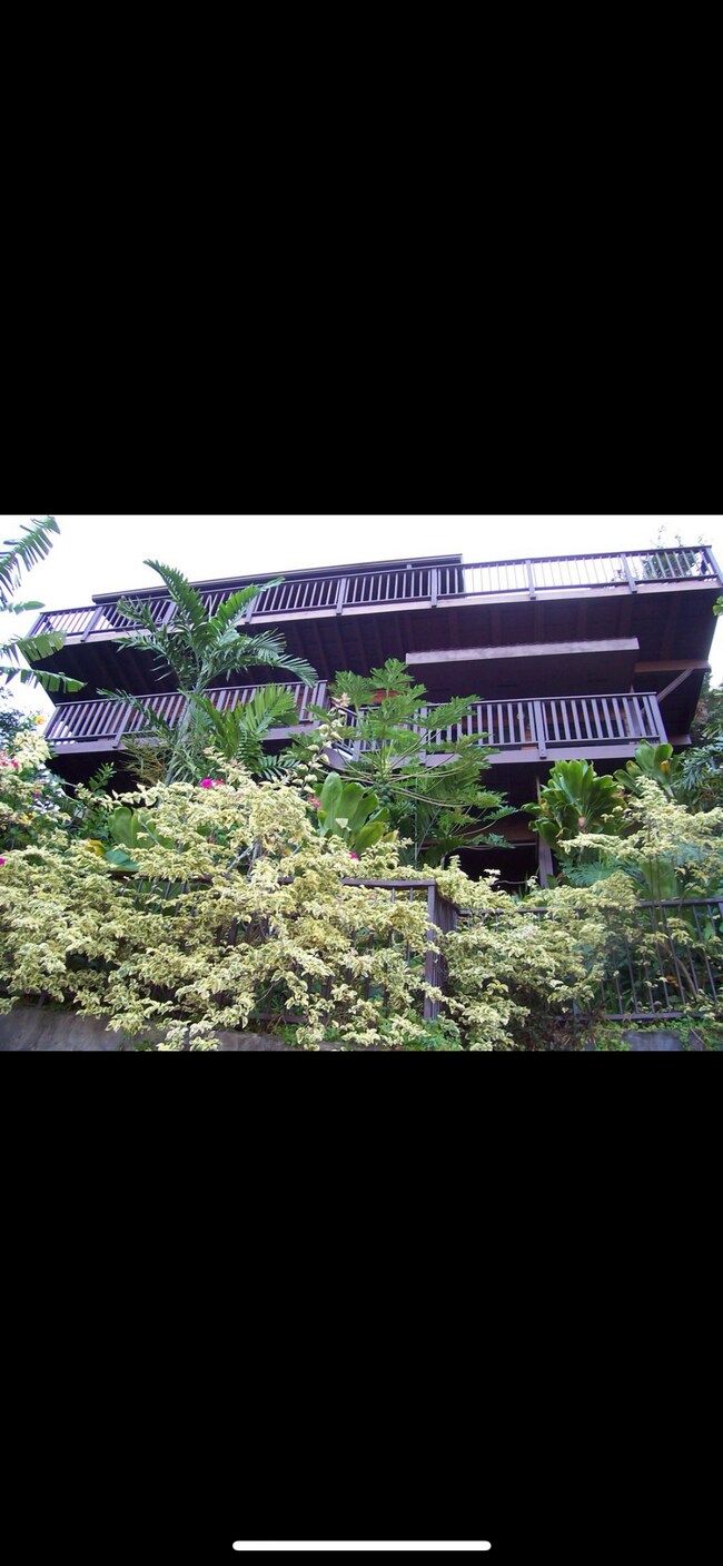 Foto del edificio - 3391 Paty Dr
