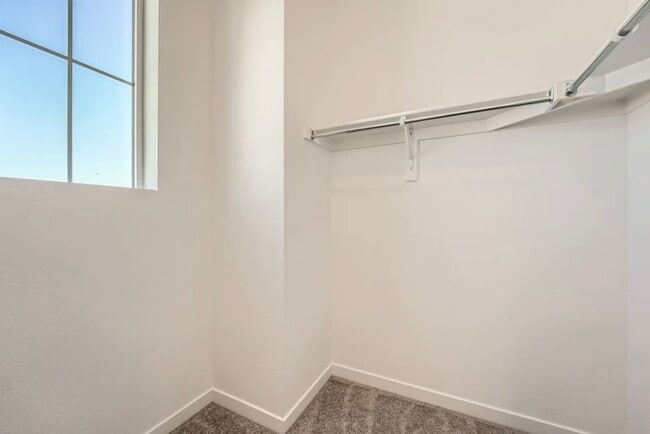 Building Photo - 736 N Bersshine Ct