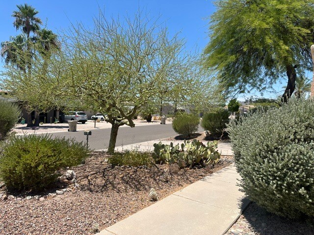 Building Photo - Outstanding 3 Bedrooms, 2 Baths, 2-car garage all on one level duplex separated by a 30-foot cour...